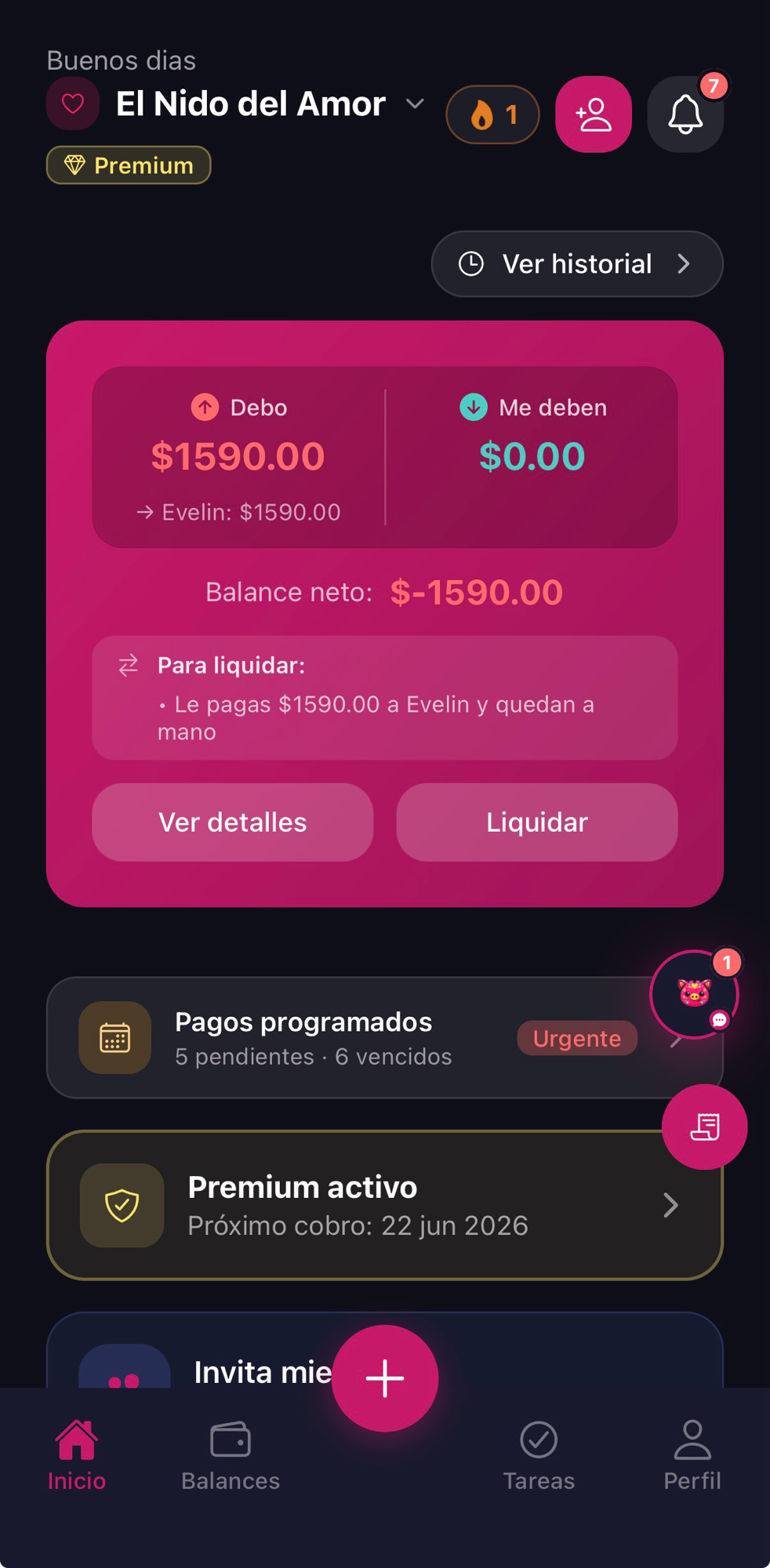 Inicio y balances, captura 1