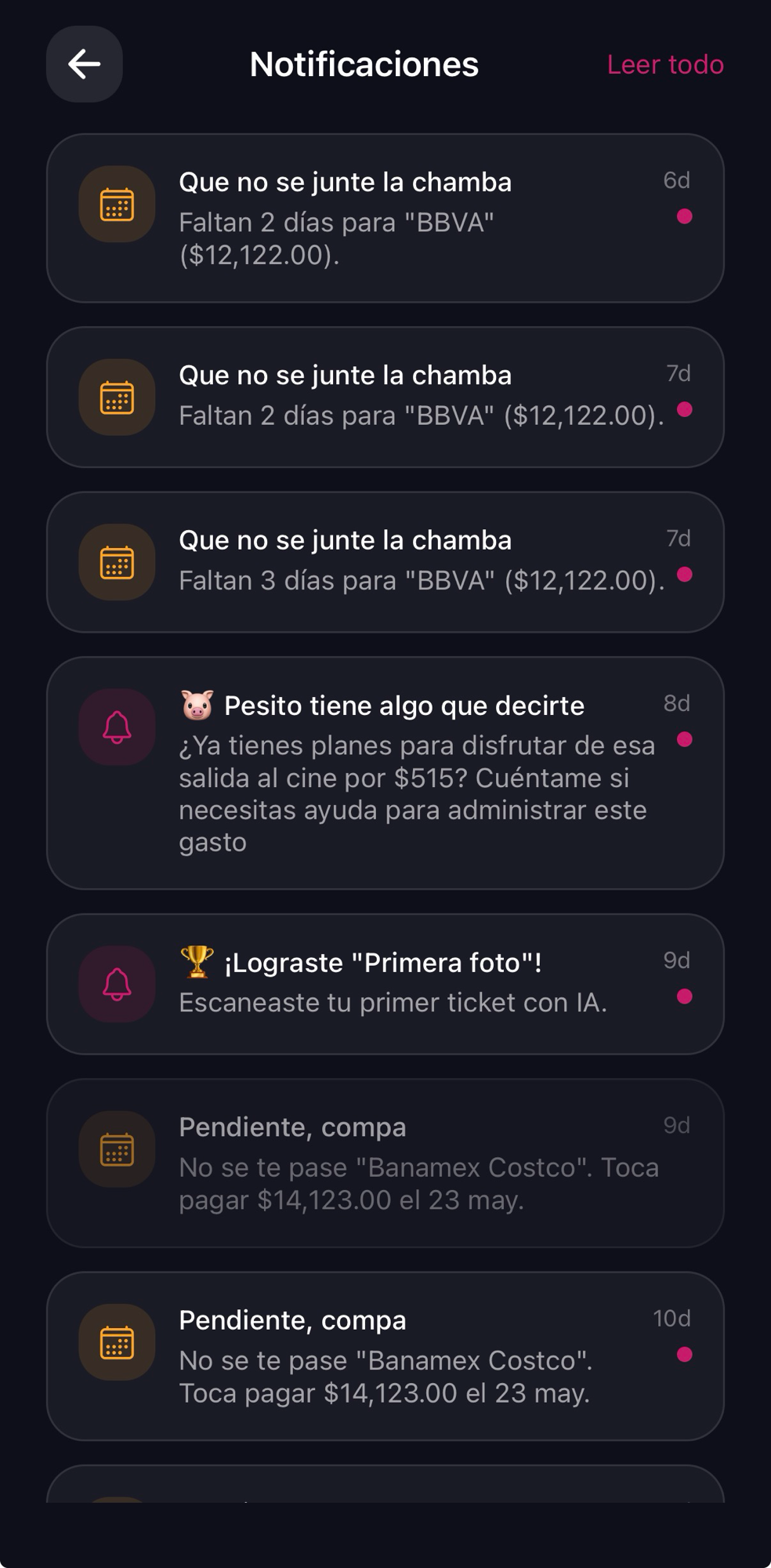 Pagos programados y a meses, captura 4