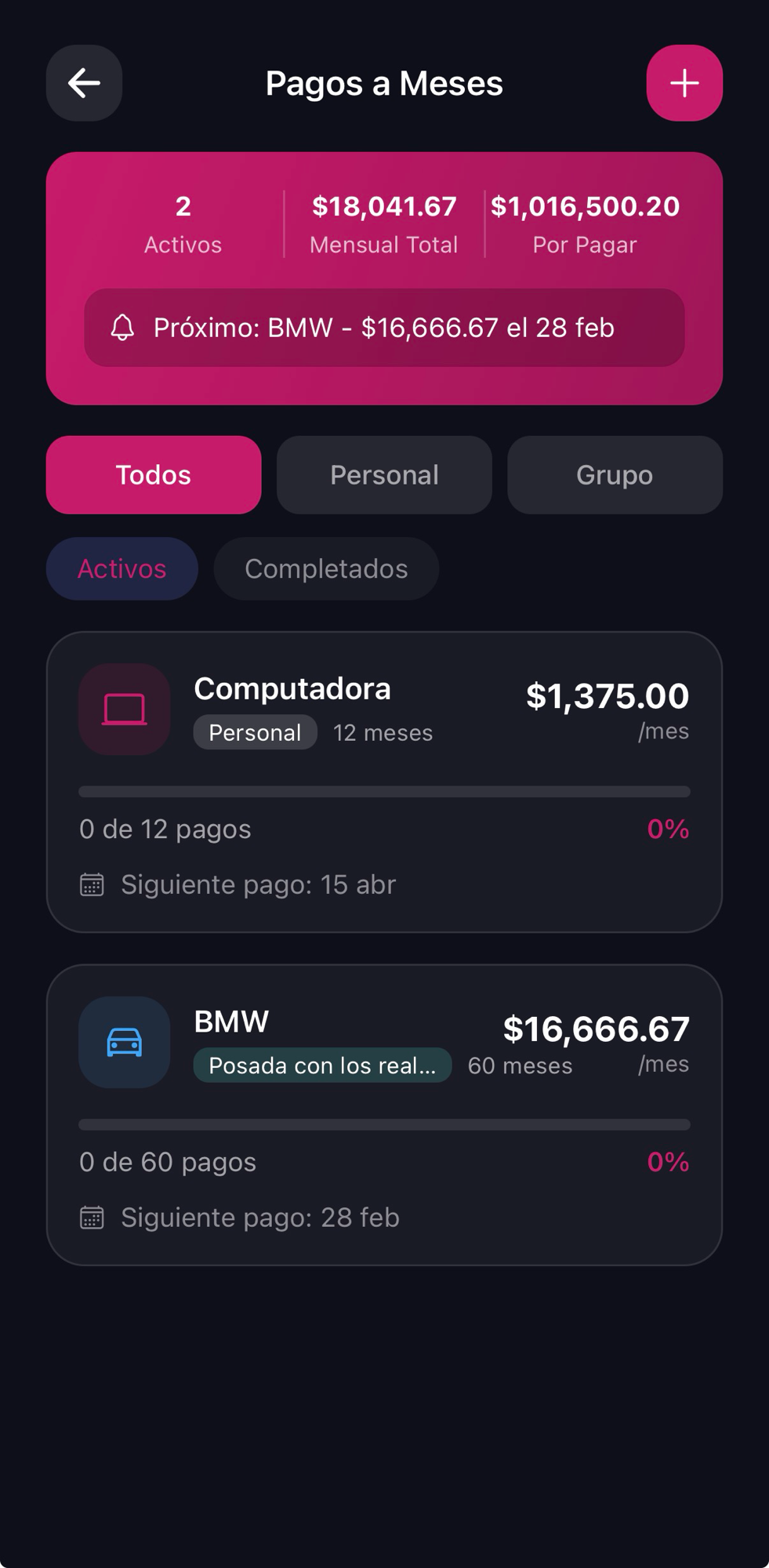 Pagos programados y a meses, captura 2