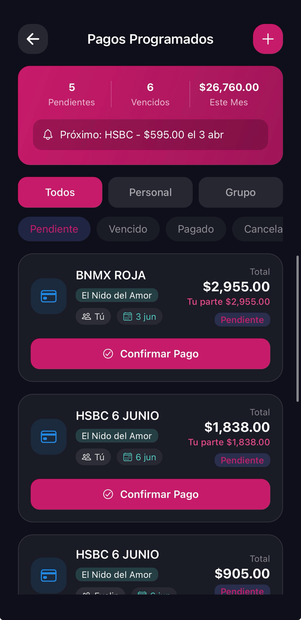 Pagos programados y a meses, captura 1