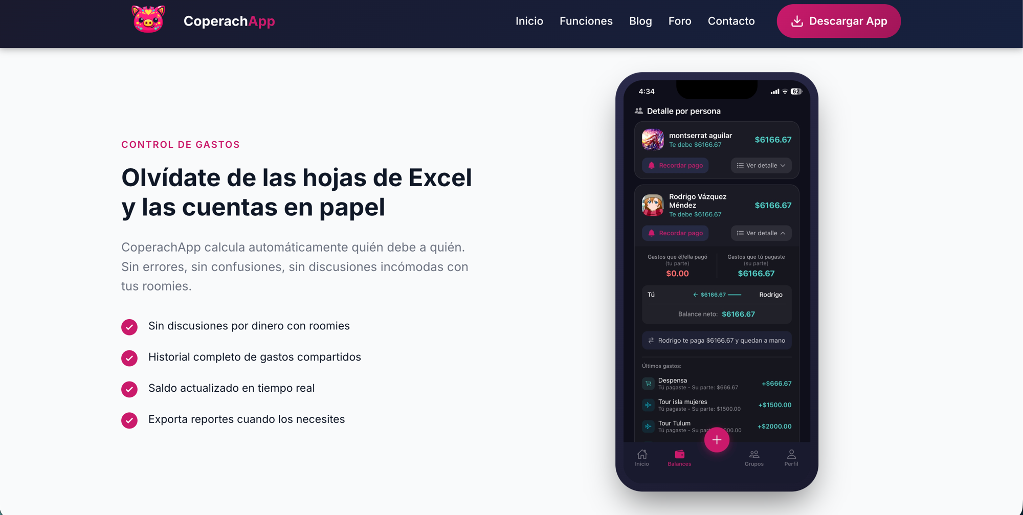 Sitio web, captura 3
