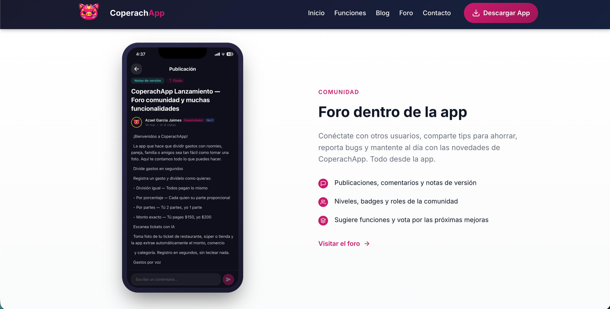 Sitio web, captura 5
