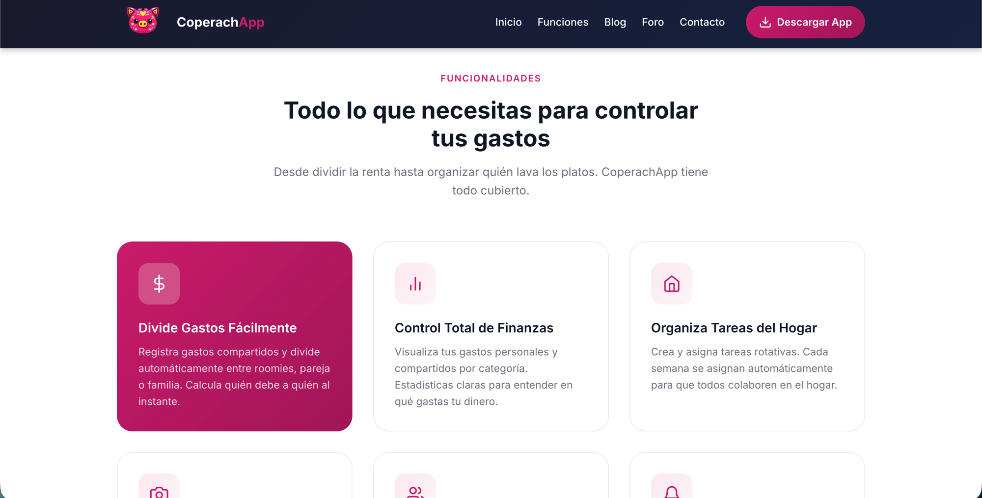 Sitio web, captura 2