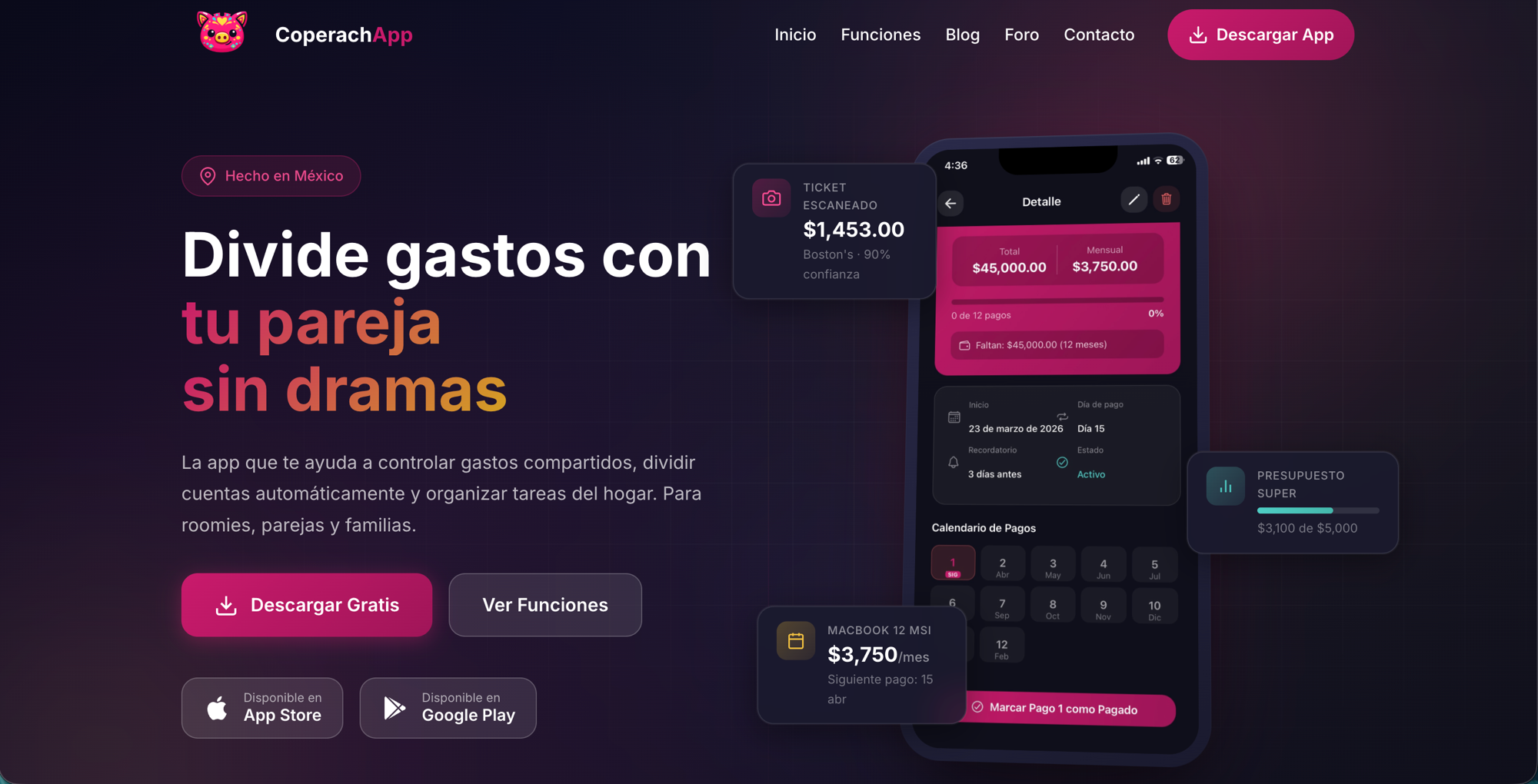 Sitio web, captura 1